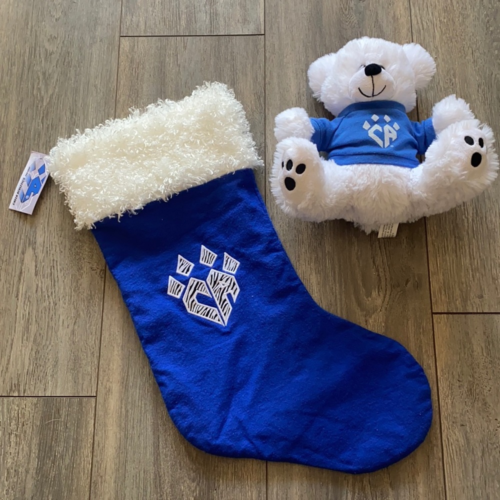 CHEER ATHLETICS RARE STOCKING AND PLUSH LOGO BEAR 💙